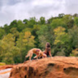 Meet your Posher, Faith